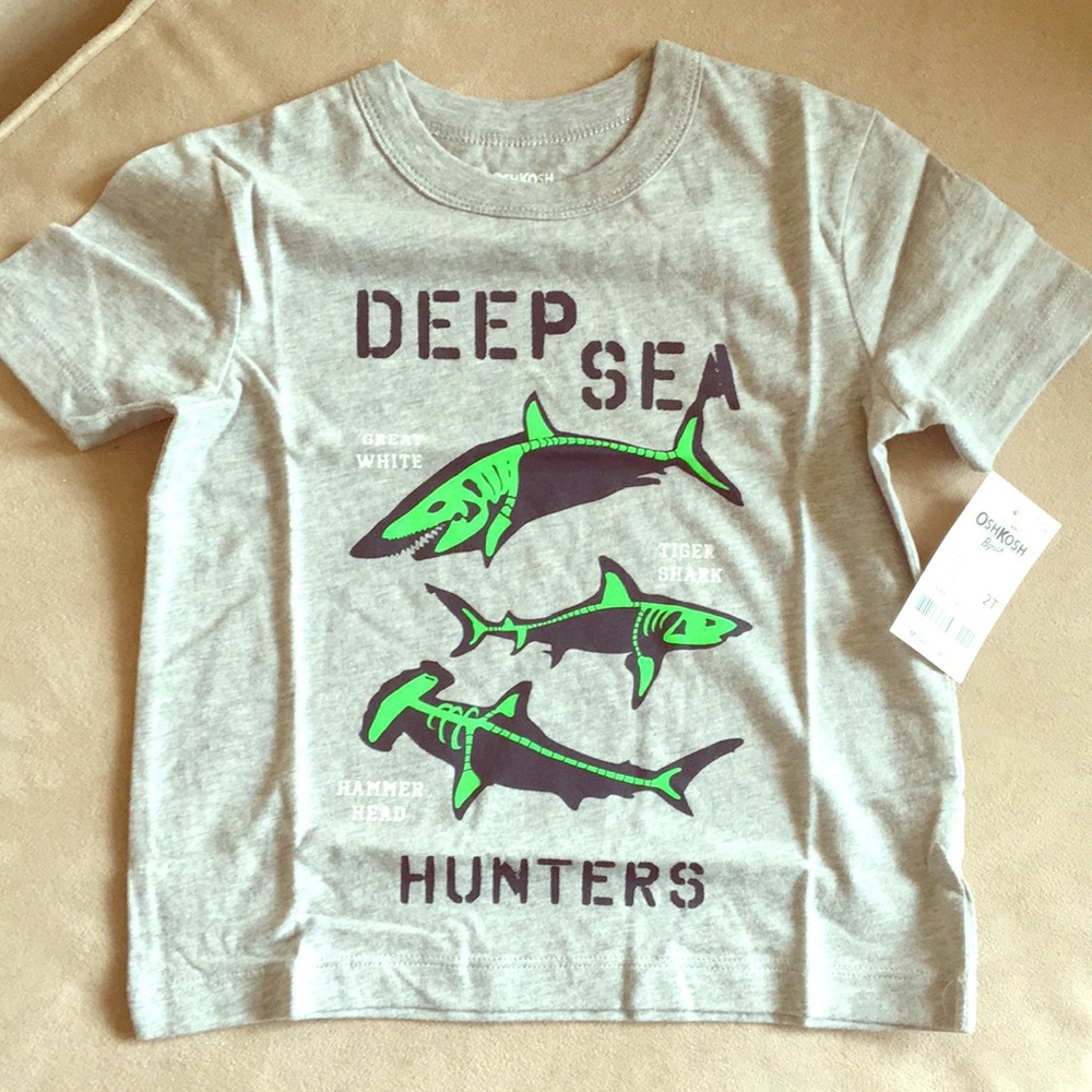 2T shirt